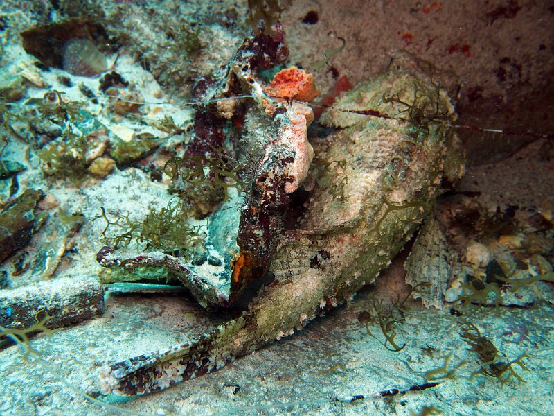Curacao 04-12 130.jpg